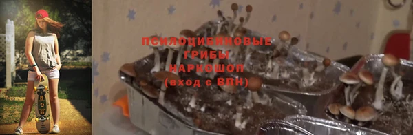 спайс Вязники